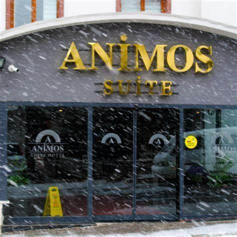 Animos Butik Otel Анкара Екстериор снимка